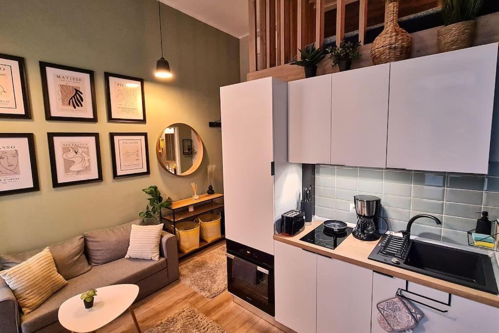 Downtown Studio-Loft コンスタンツァ エクステリア 写真
