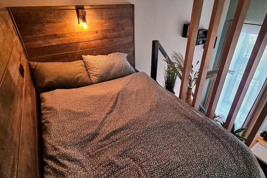 Downtown Studio-Loft コンスタンツァ エクステリア 写真